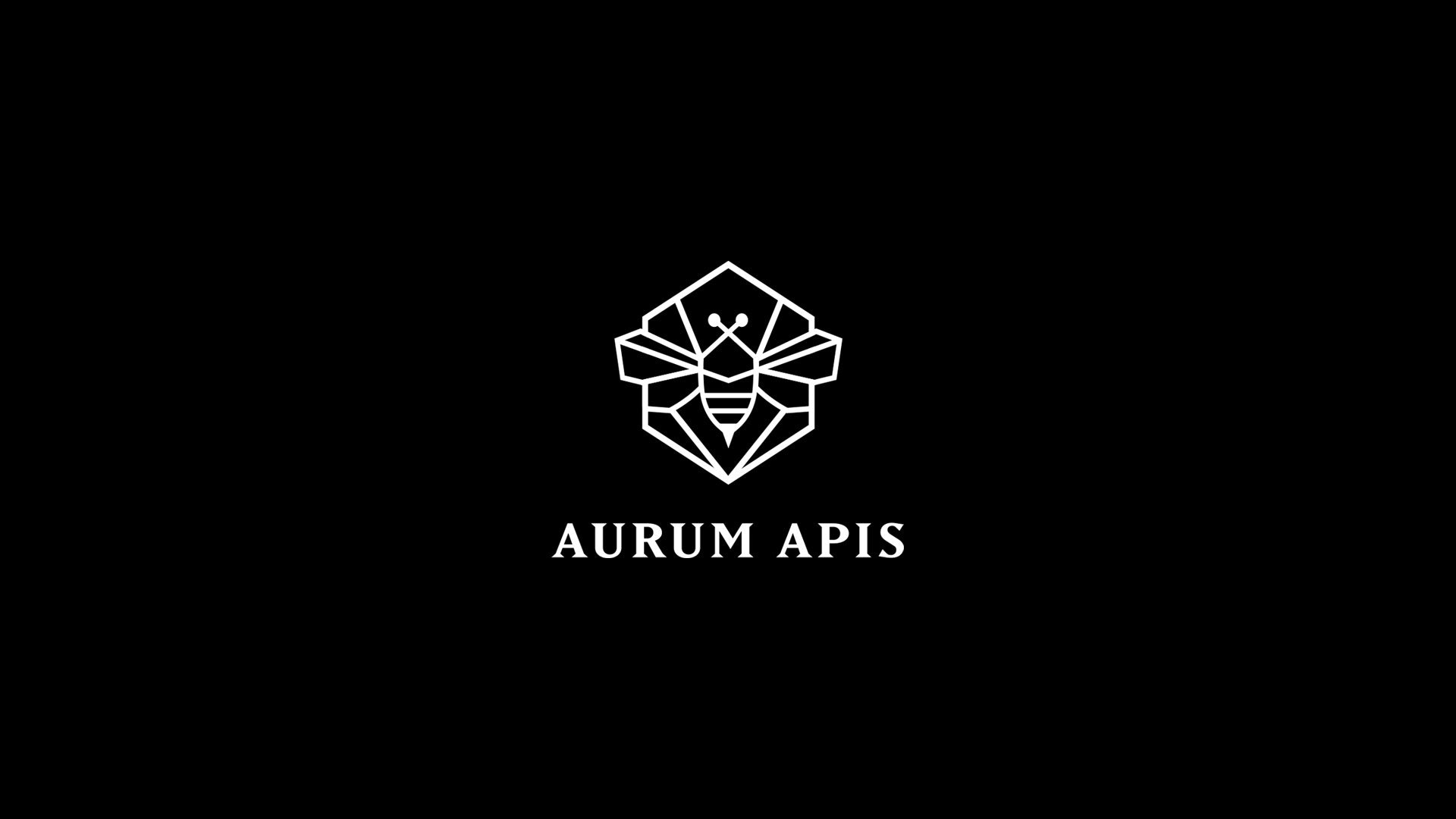 Aurum Apis, work sample 1