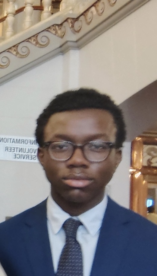 Albert Bodjoua, work sample 1
