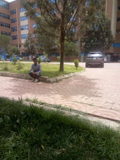 Abraham Mengistu Guteta, work sample 8