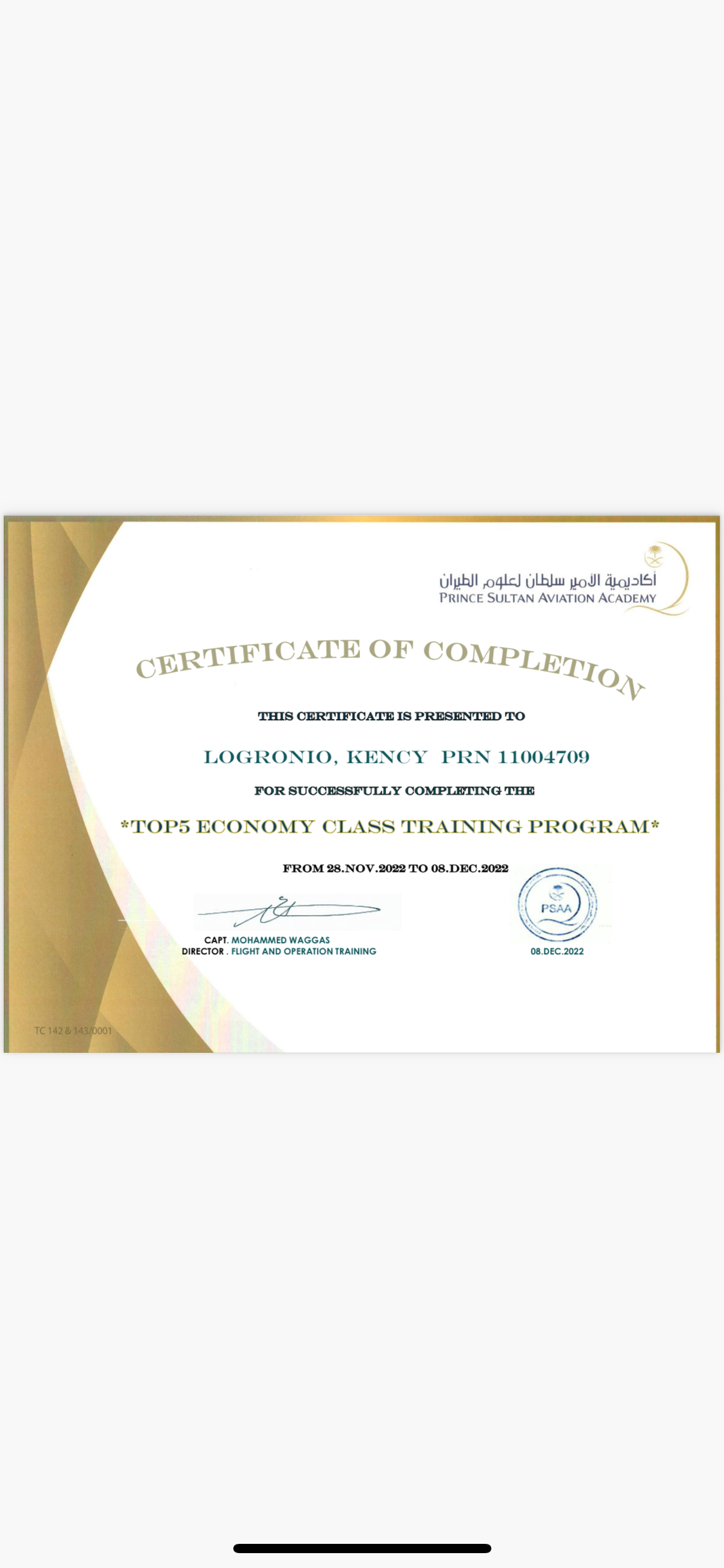 Kency Logronio, work sample 2
